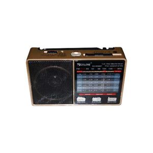 رادیو اسپیکر بلوتوثی گولون RX-8866 | رم و فلش خور + چراغ LED